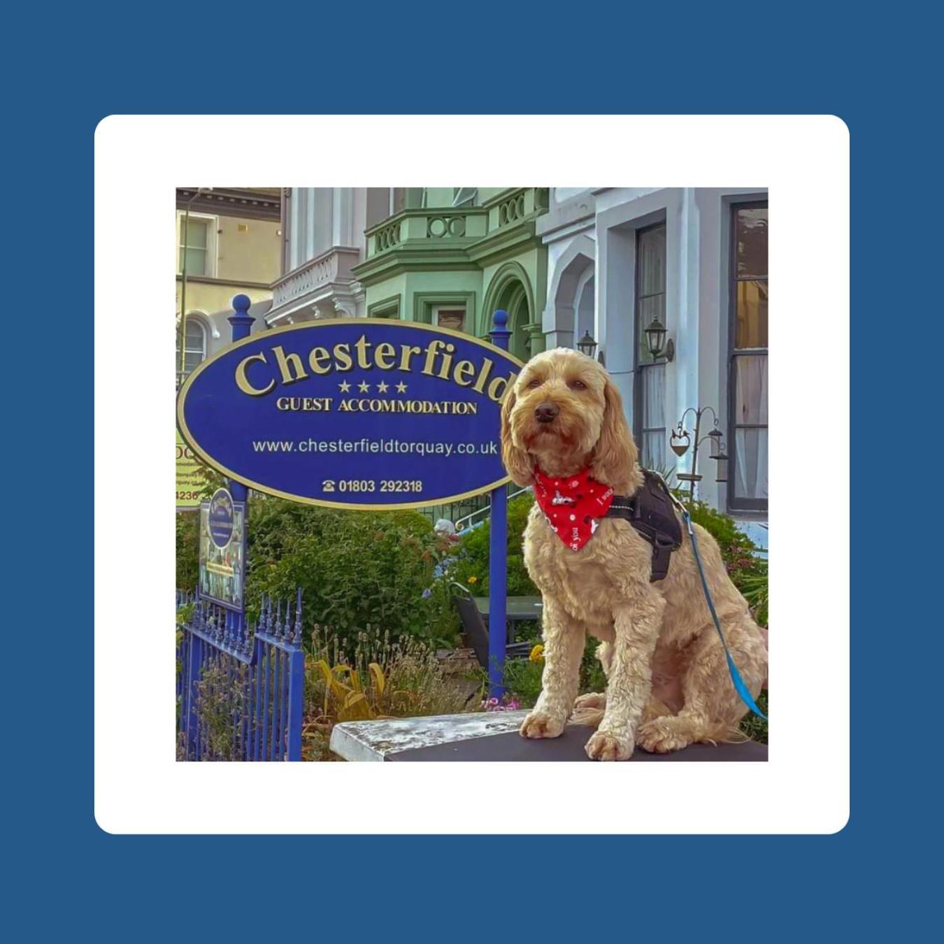 The Chesterfield, Torquay (Adults Only) Eksteriør bilde